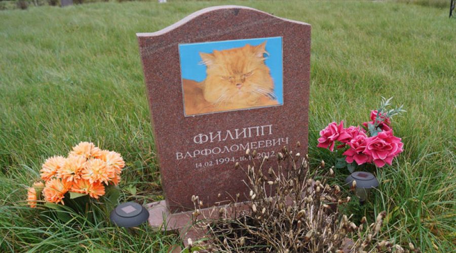 Кладбище Домашних Животных В Москве Фото