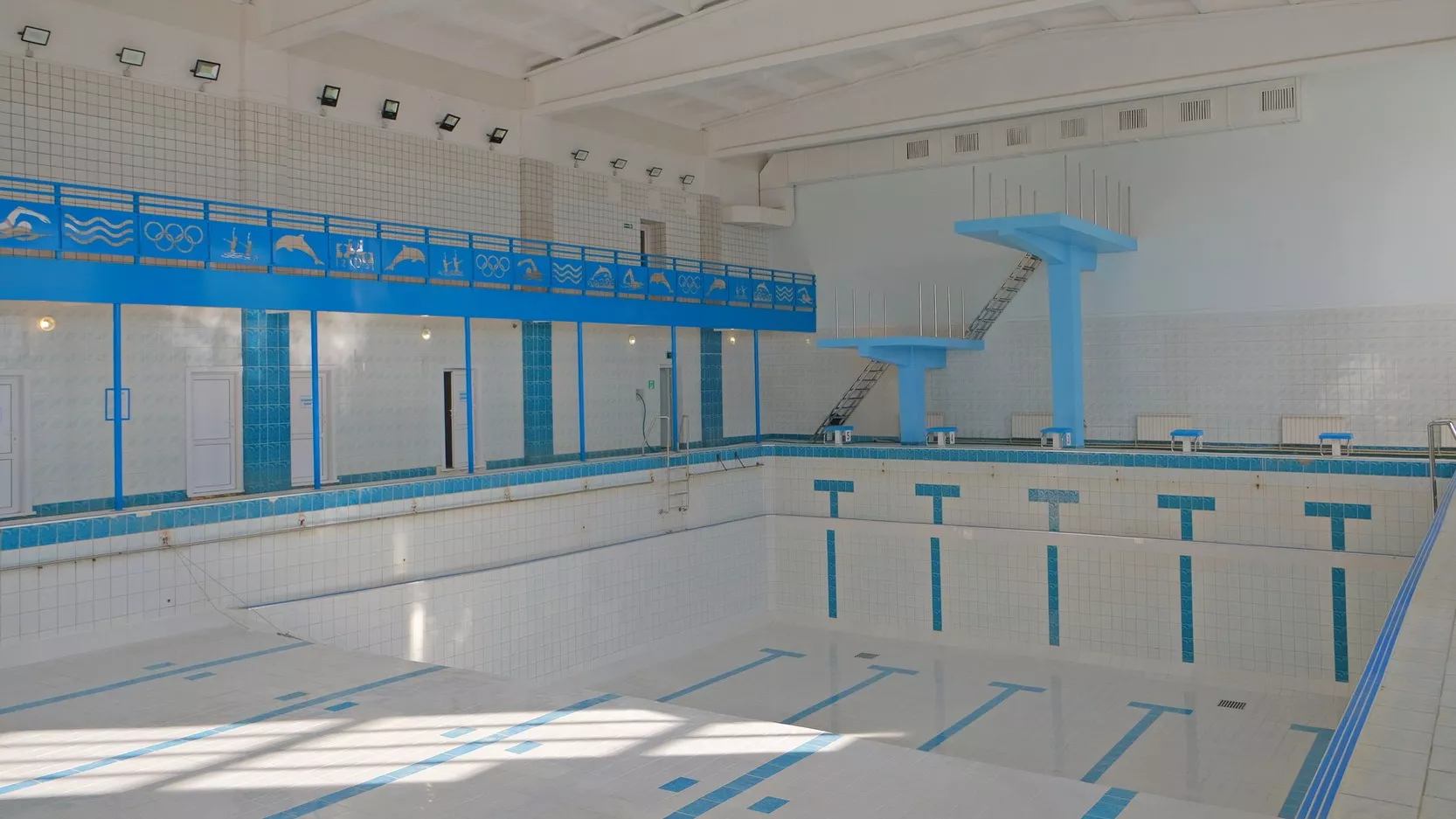 Бассейн на зоологической улице глория открытие после ремонта