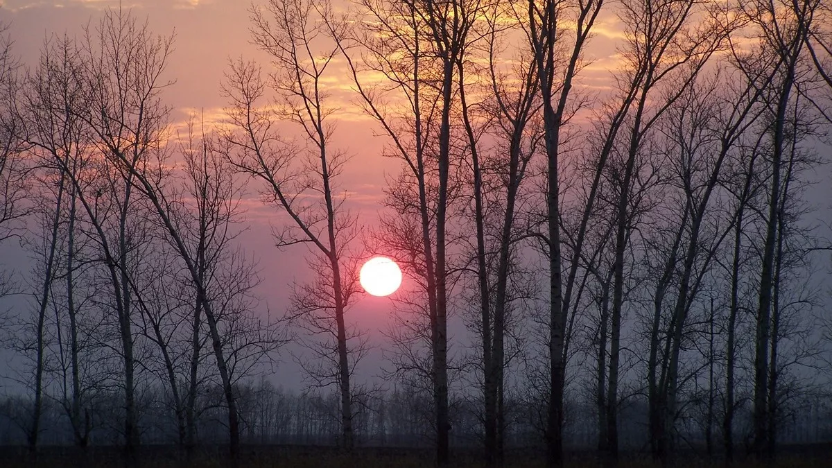 магнитная буря арт рисунки. мурманск природное гало. 5 января солнце. 5 января солнце. картинки весна красивые пейзажи.