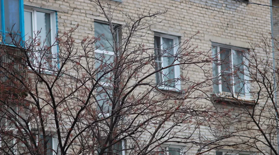 Ветер до 30 м/с: в Алтайском крае объявили штормовое предупреждение