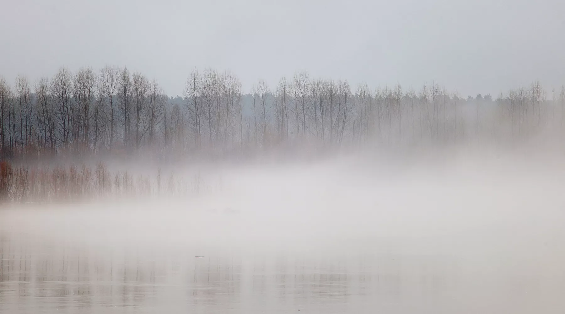 Туман над Бией