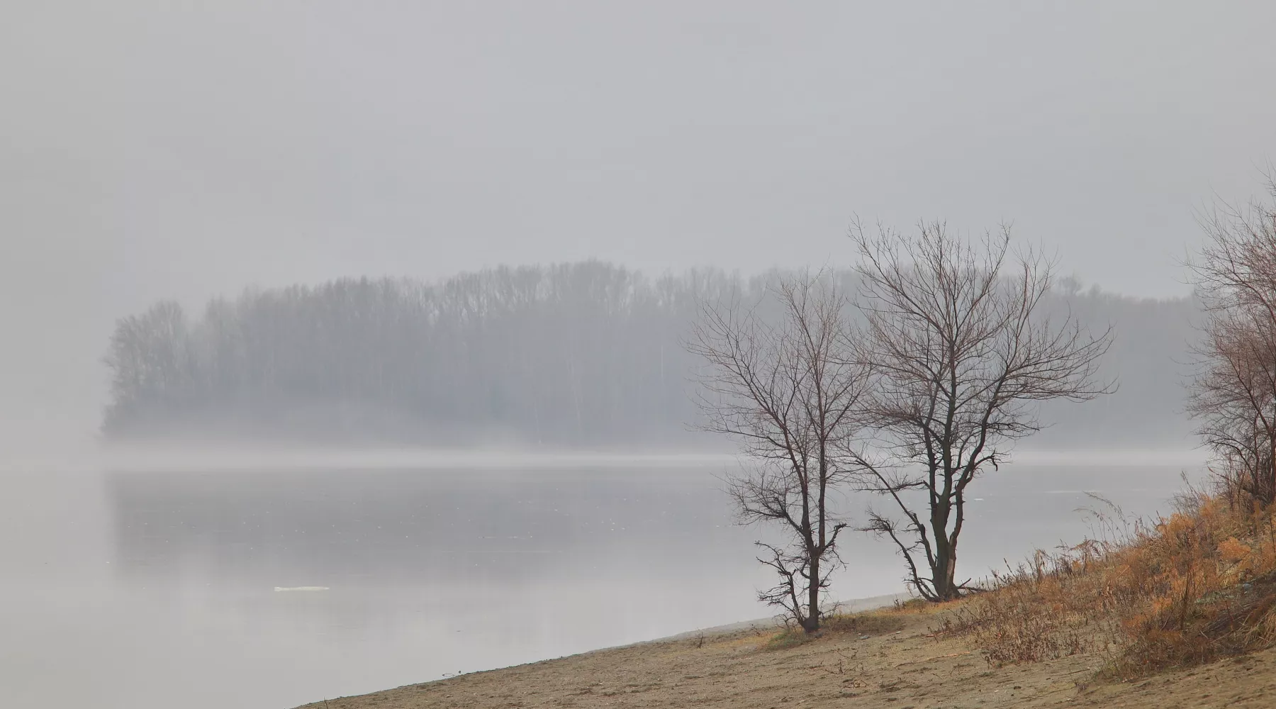 Туман над Бией