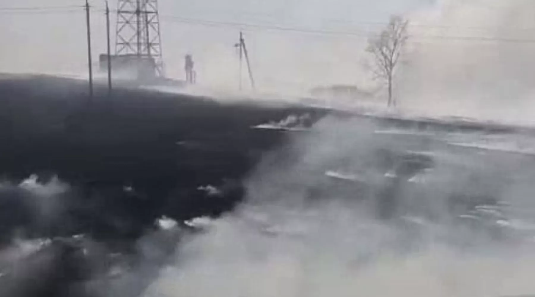 Рядом с Бийском произошел пожар в поле