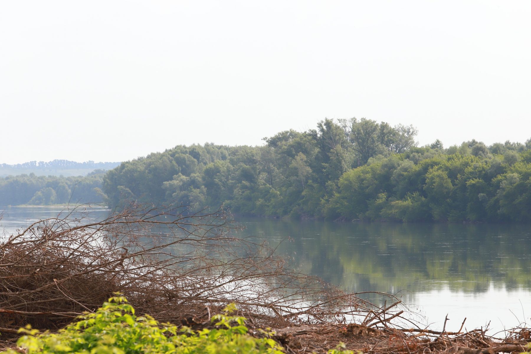 Лето. Бия. Берег реки.