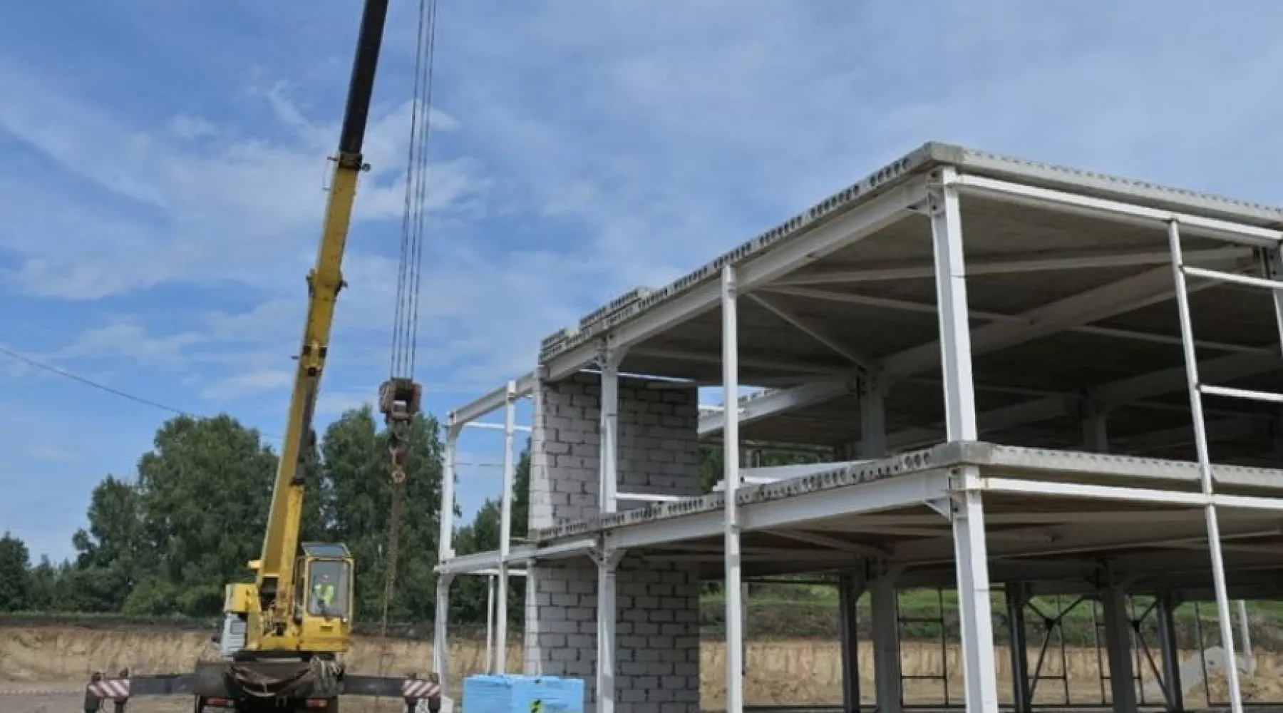 В Алтайском крае появится самое масштабное за Уралом производство мяса индейки