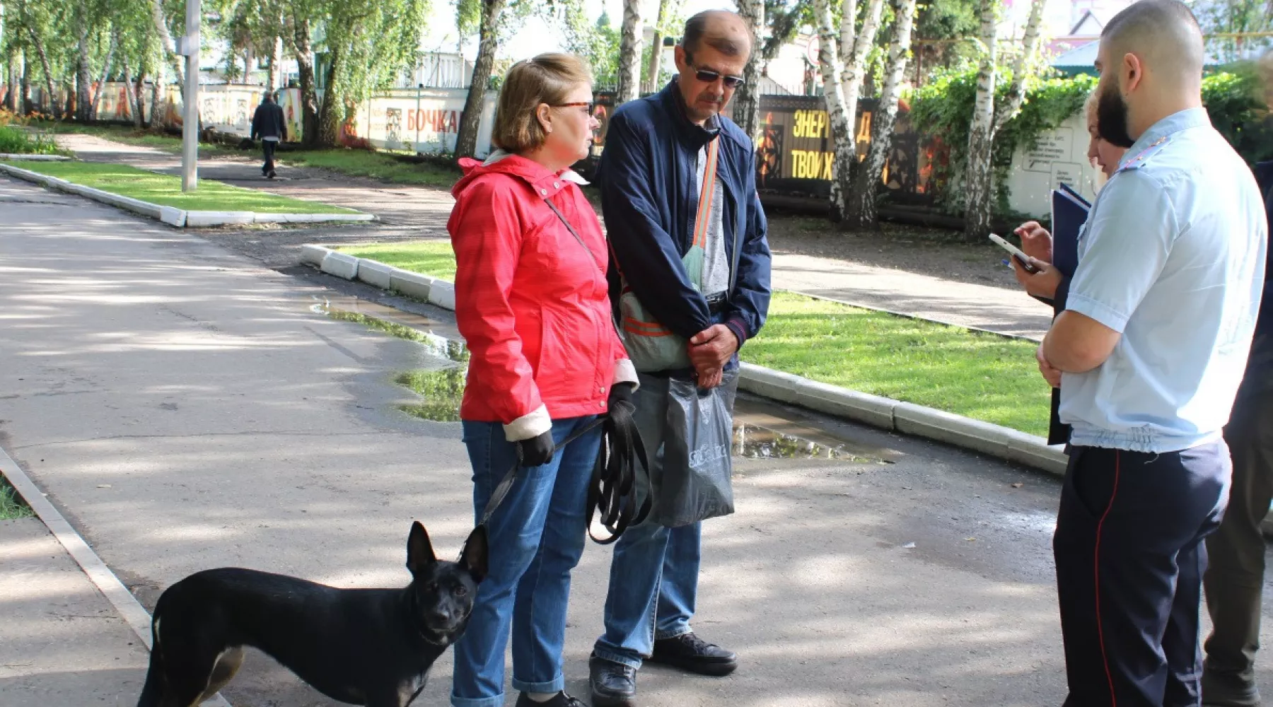 В Алтайском крае начали проверять наличие маркировки у собак
