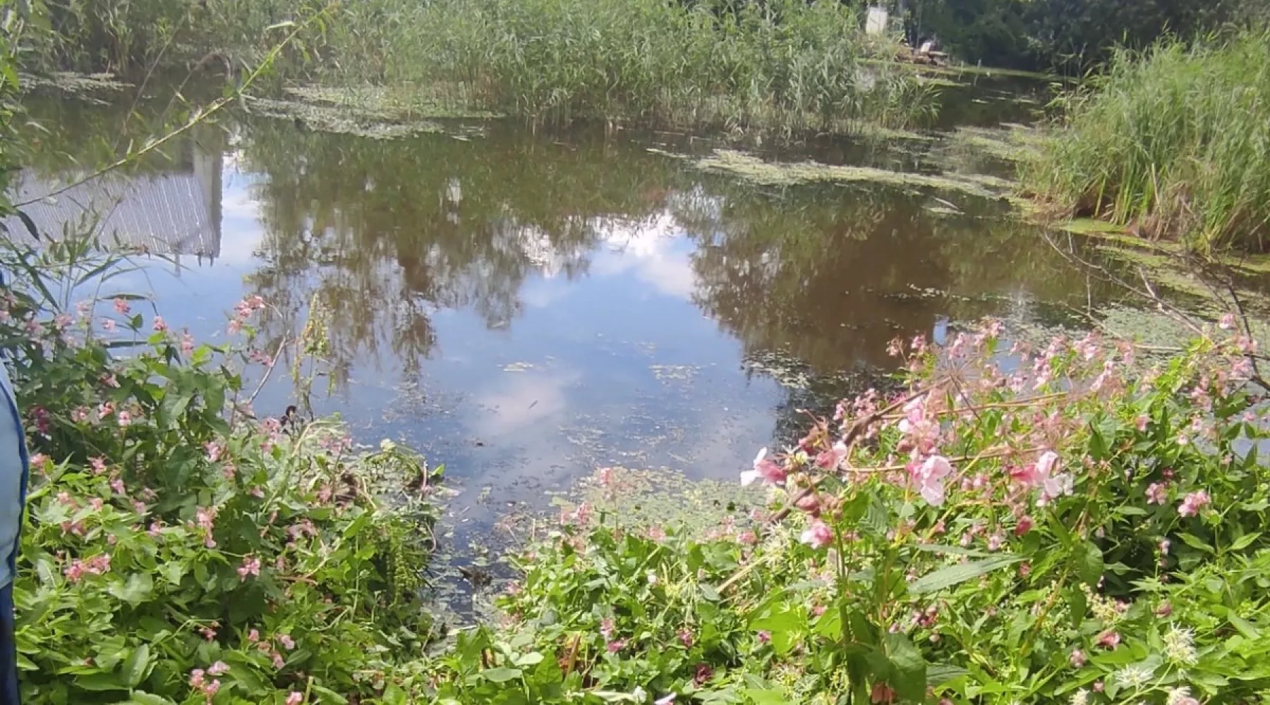 Ребенок утонул