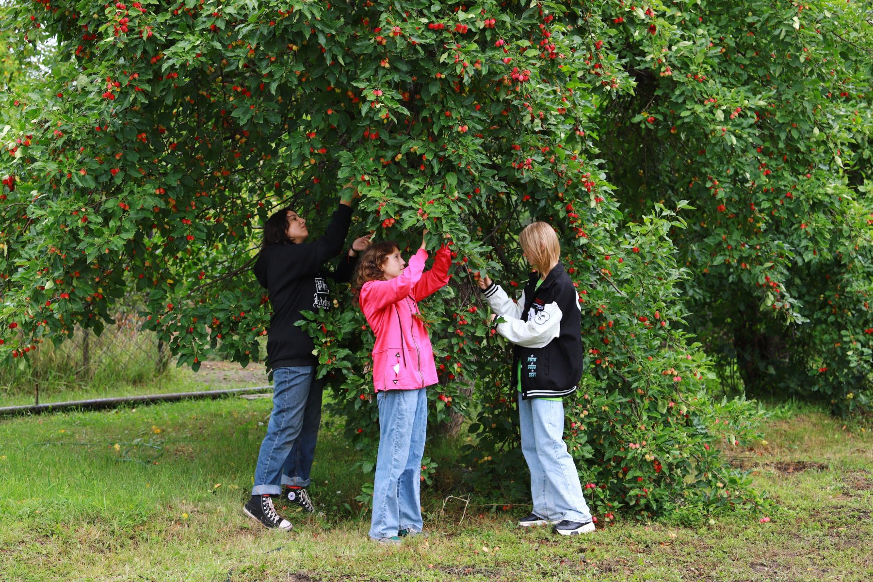 В ДЭТЦ Бийска подростки совмещают работу, учебу и заботу о природе