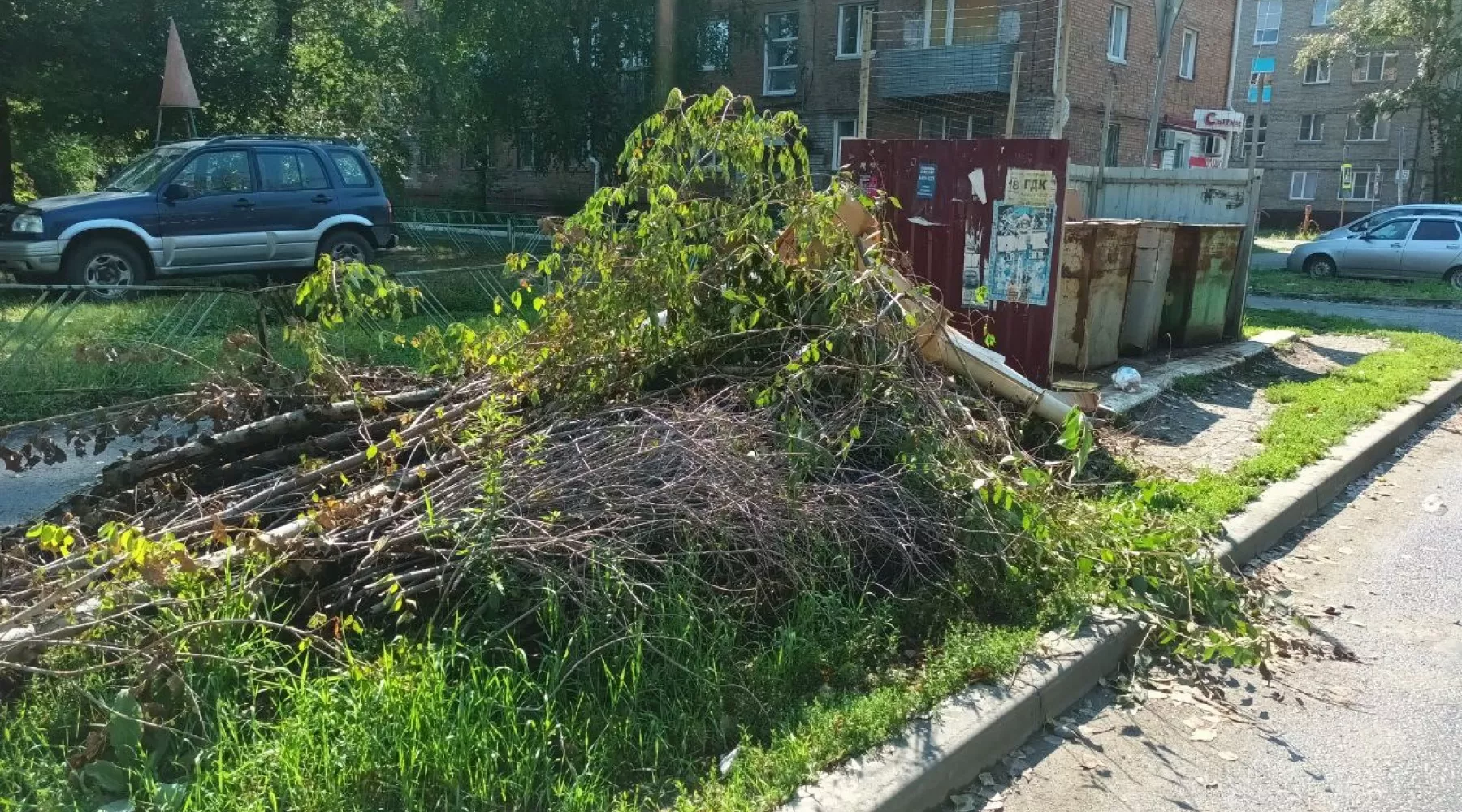 Мусор. ТКО. Древесные отходы. Ветки деревьев