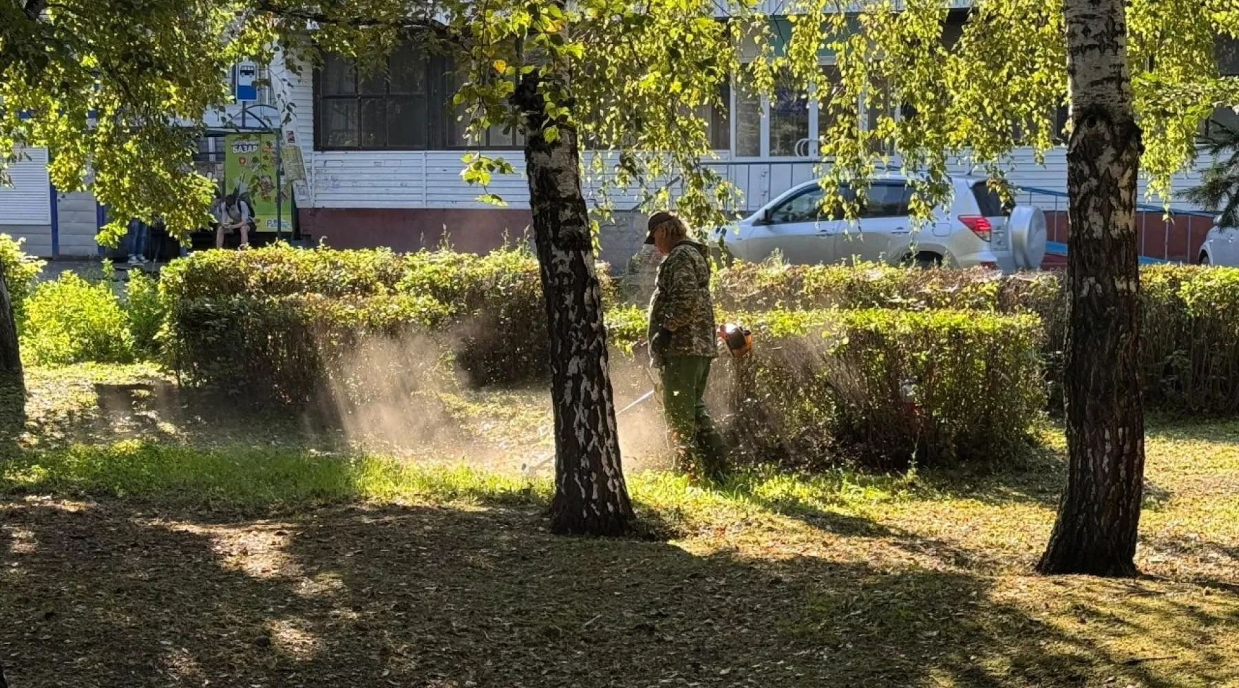 Бийские коммунальщики отчитались о проделанной работе