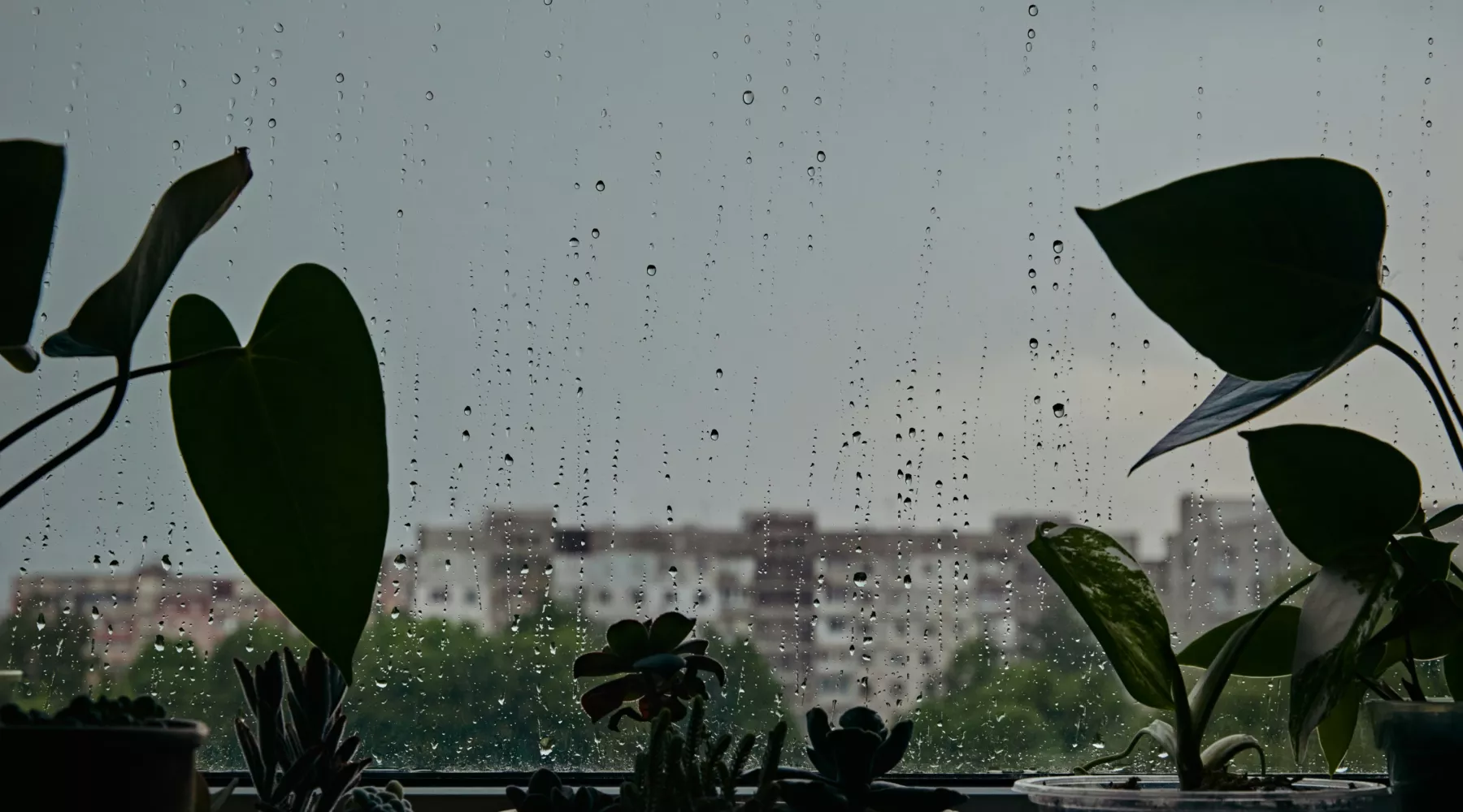 Дождь. Пасмурно. Погода. Облачно. 