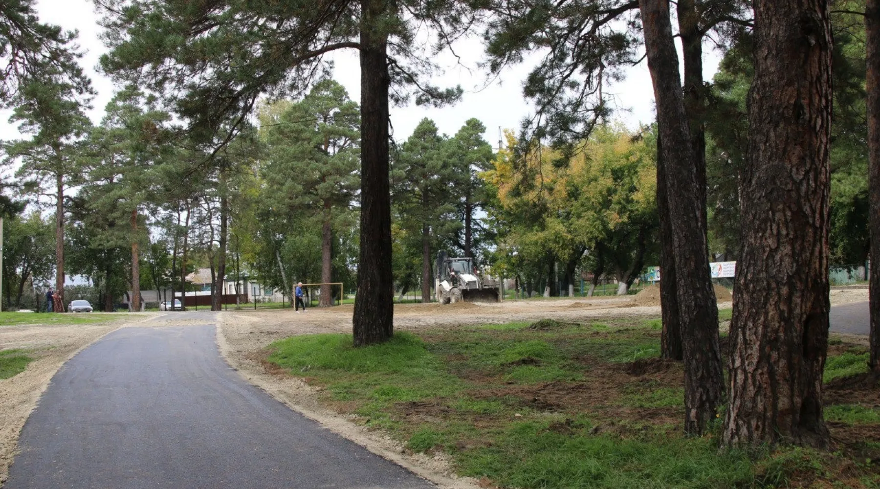 Строительство лыжероллерной трассы в Бийске 