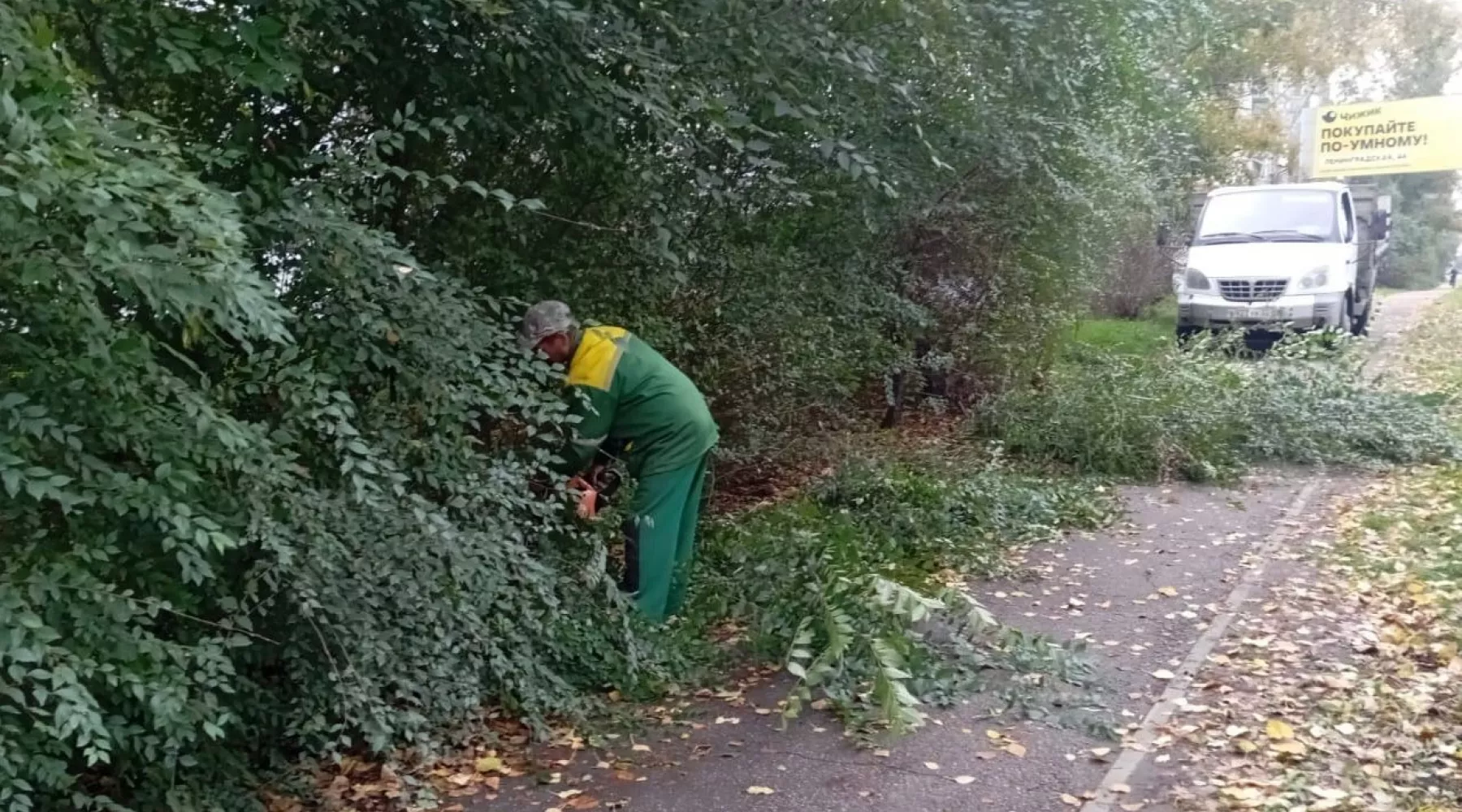 Обрезка деревьев