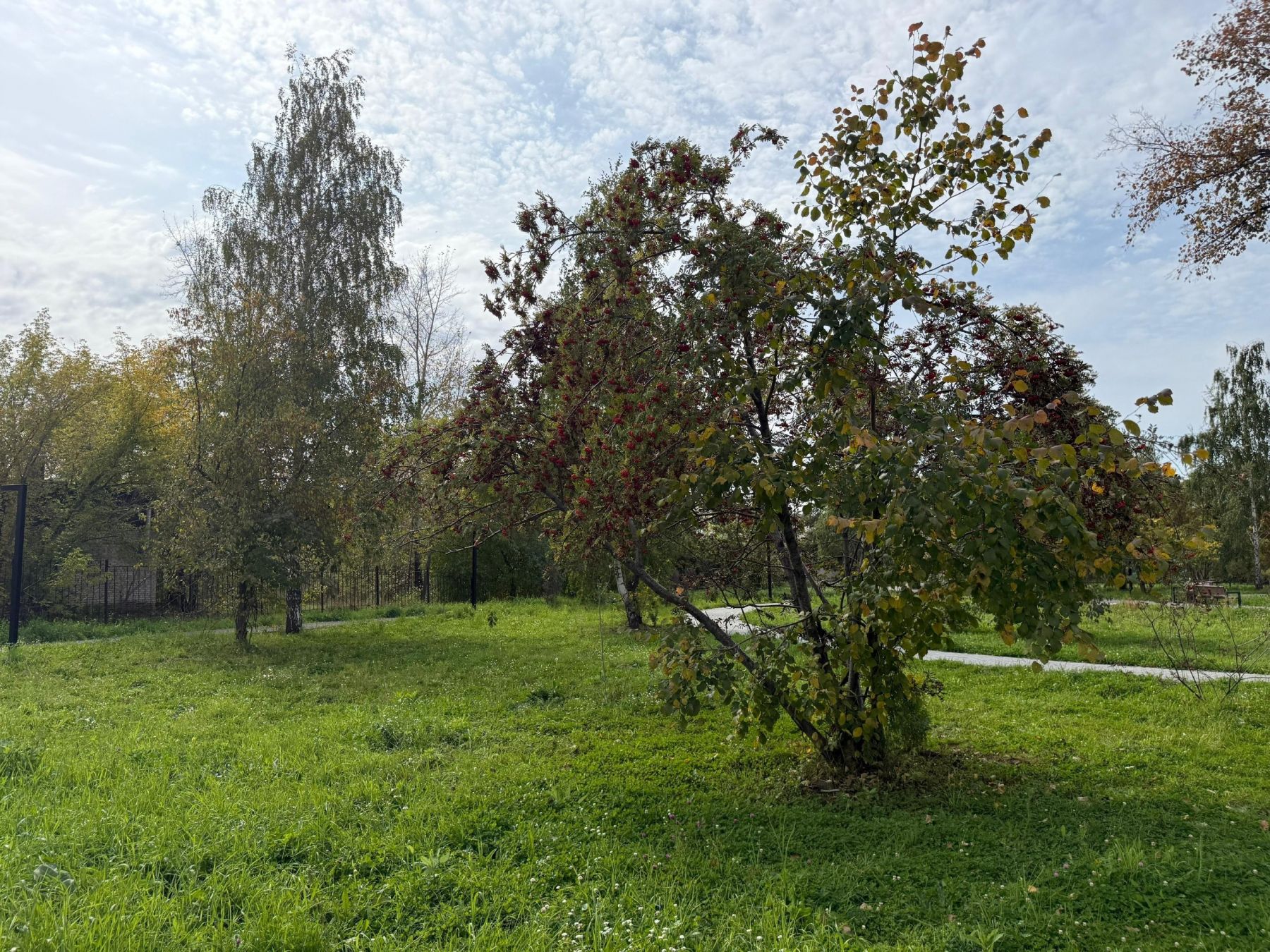 Благоустройство парков и скверов в Бийске 