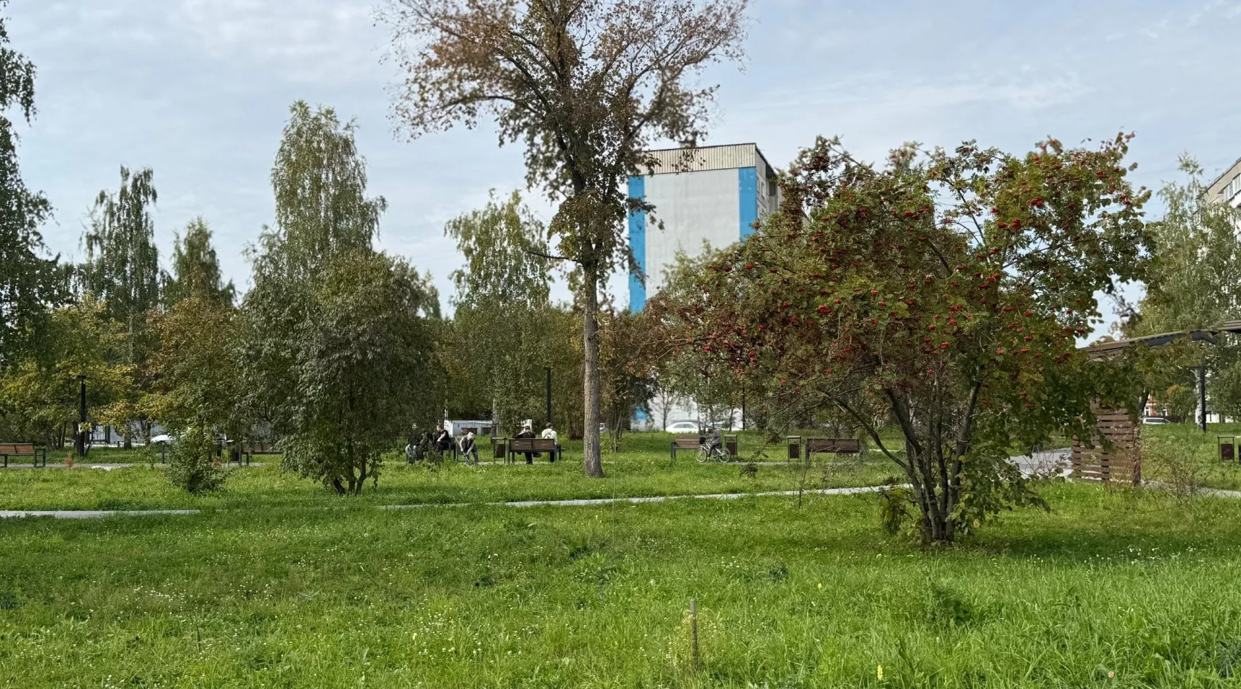 Благоустройство парков и скверов в Бийске 