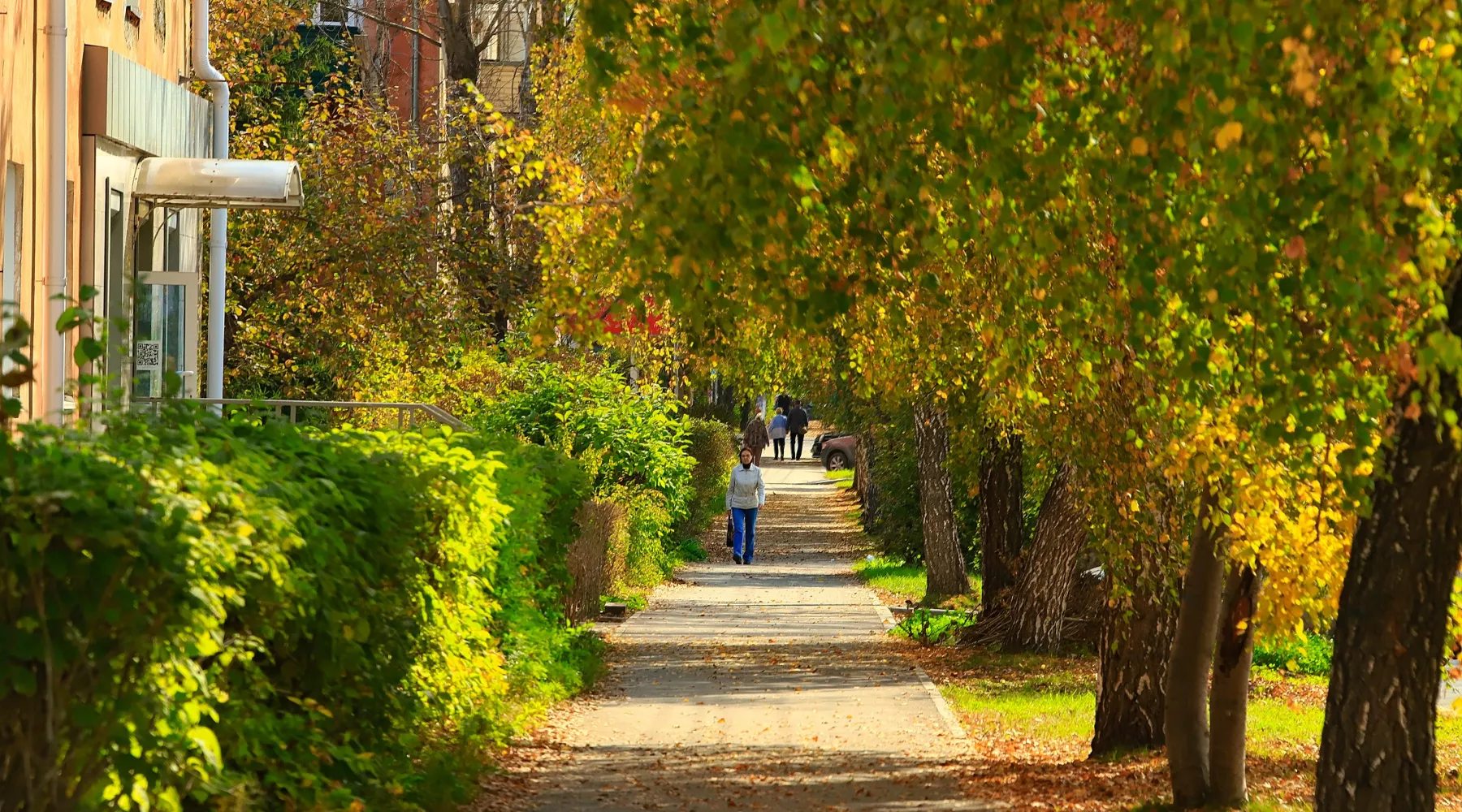 Осень. Город. Бабье лето 