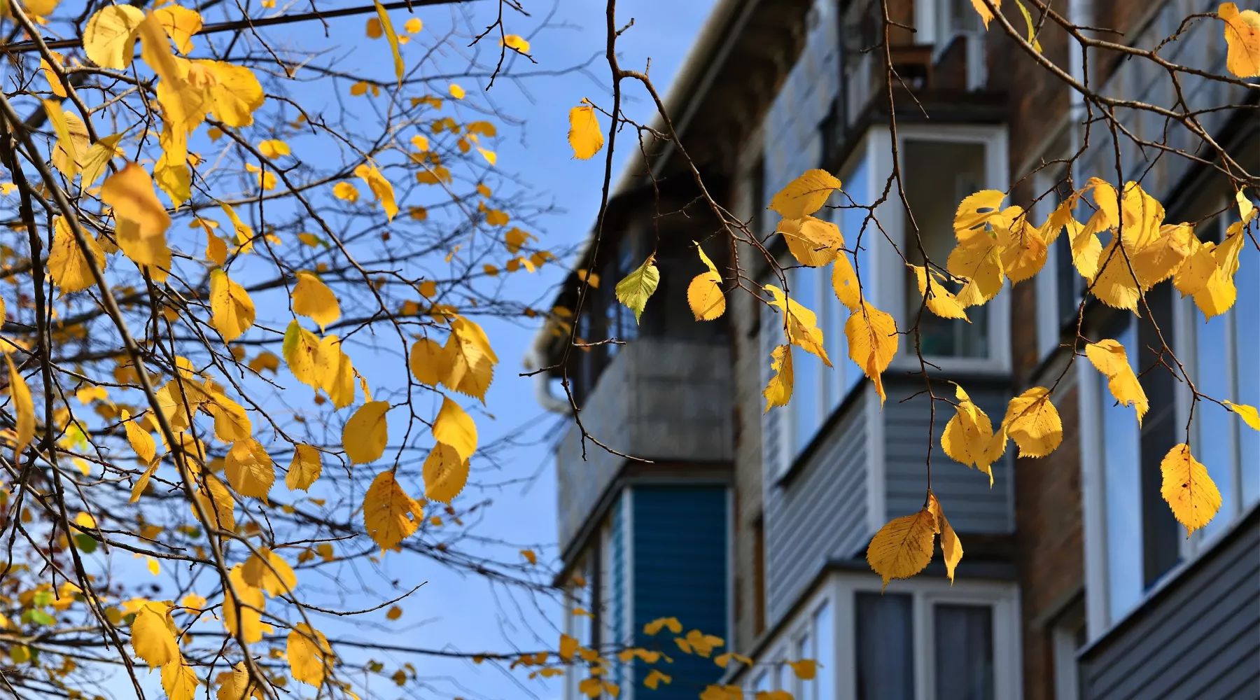 Осень. Город. Бабье лето