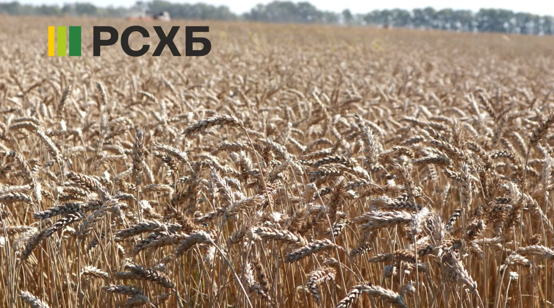 РСХБ: 13 млрд рублей направлено на финансирование сезонных работ на Алтае