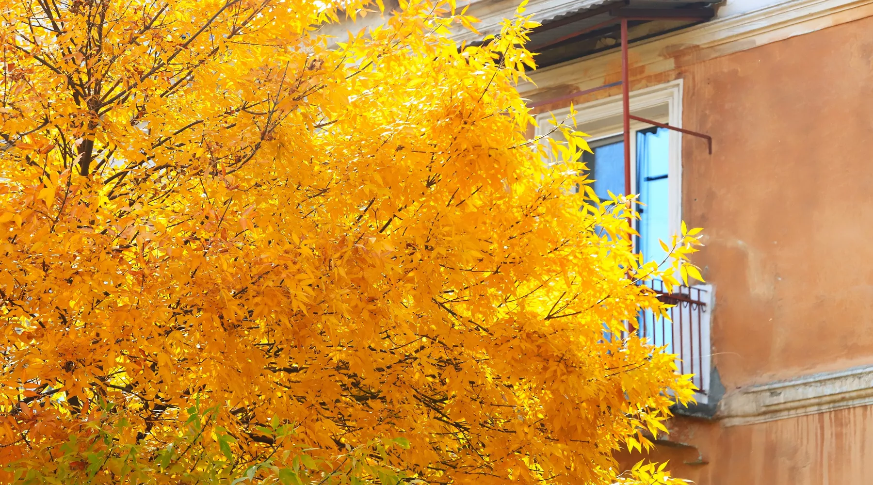 Осень. Город. Бабье лето 