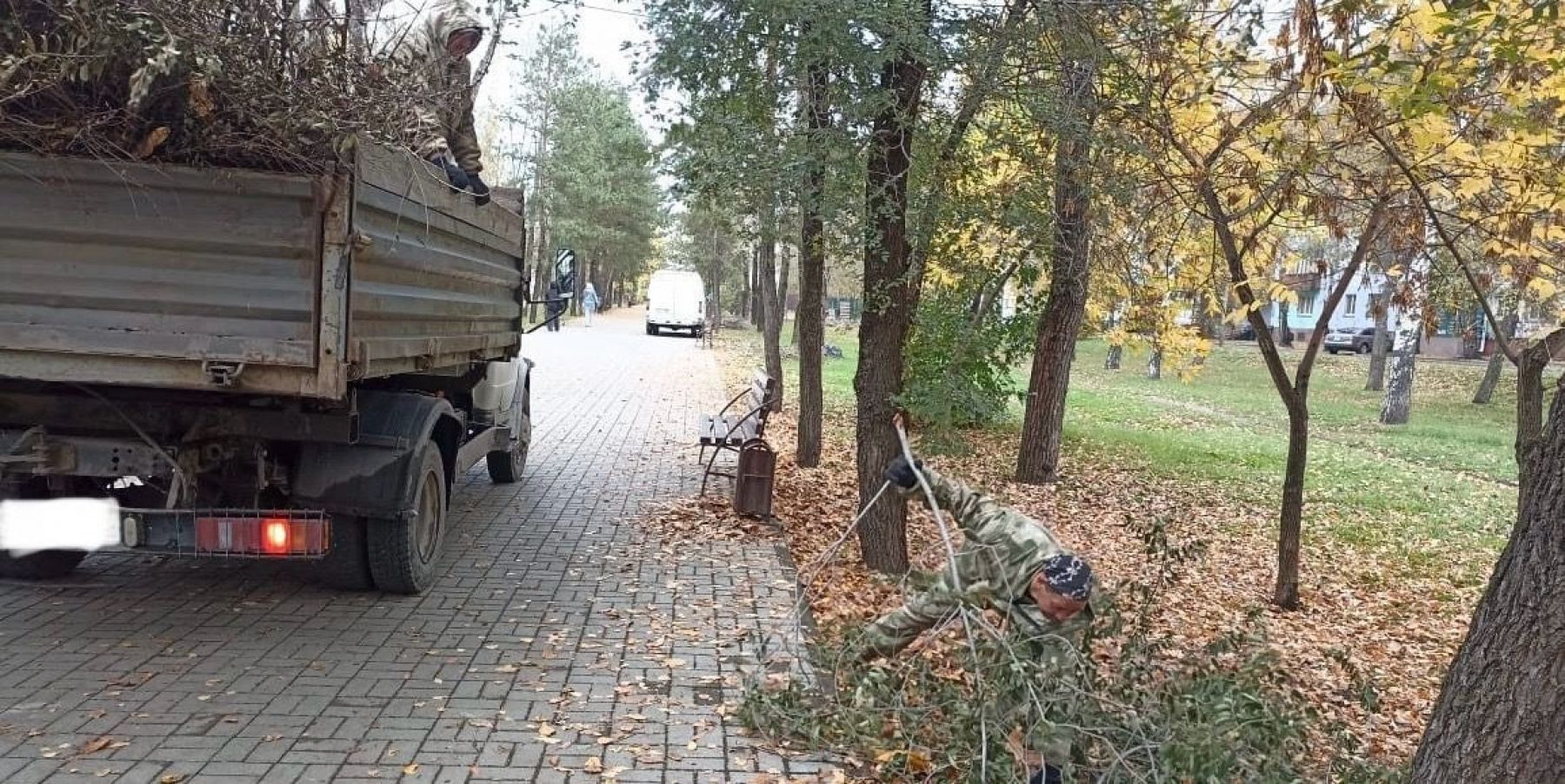 В Бийске продолжают приводить в порядок городские зеленые зоны