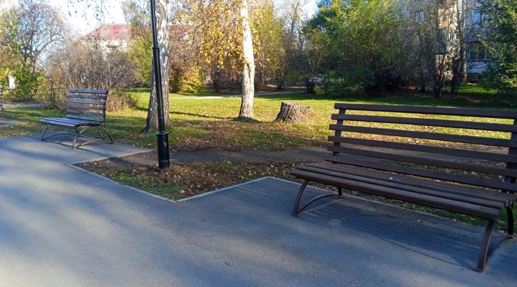 В Бийске продолжают приводить в порядок городские зеленые зоны