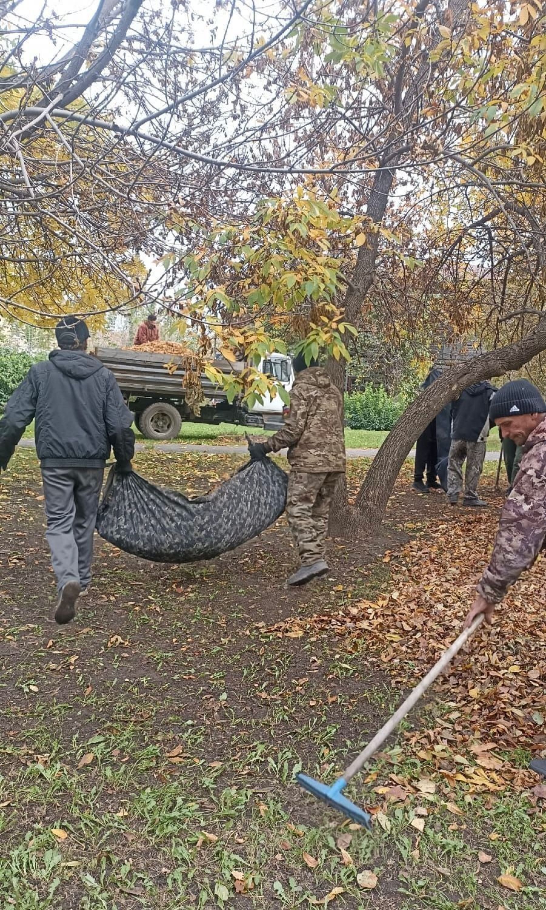 В Бийске продолжают приводить в порядок городские зеленые зоны