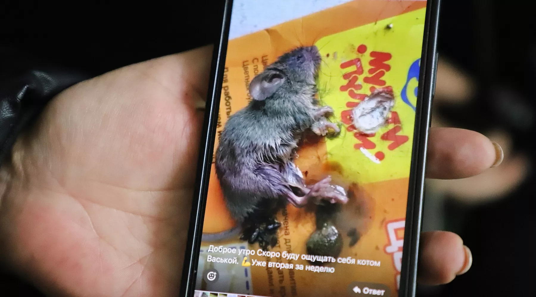 пер. Мартьянова 61/1