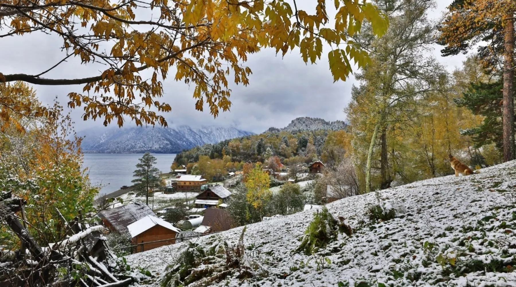 Телецкое озеро. Снег. Снег осенью. Осень