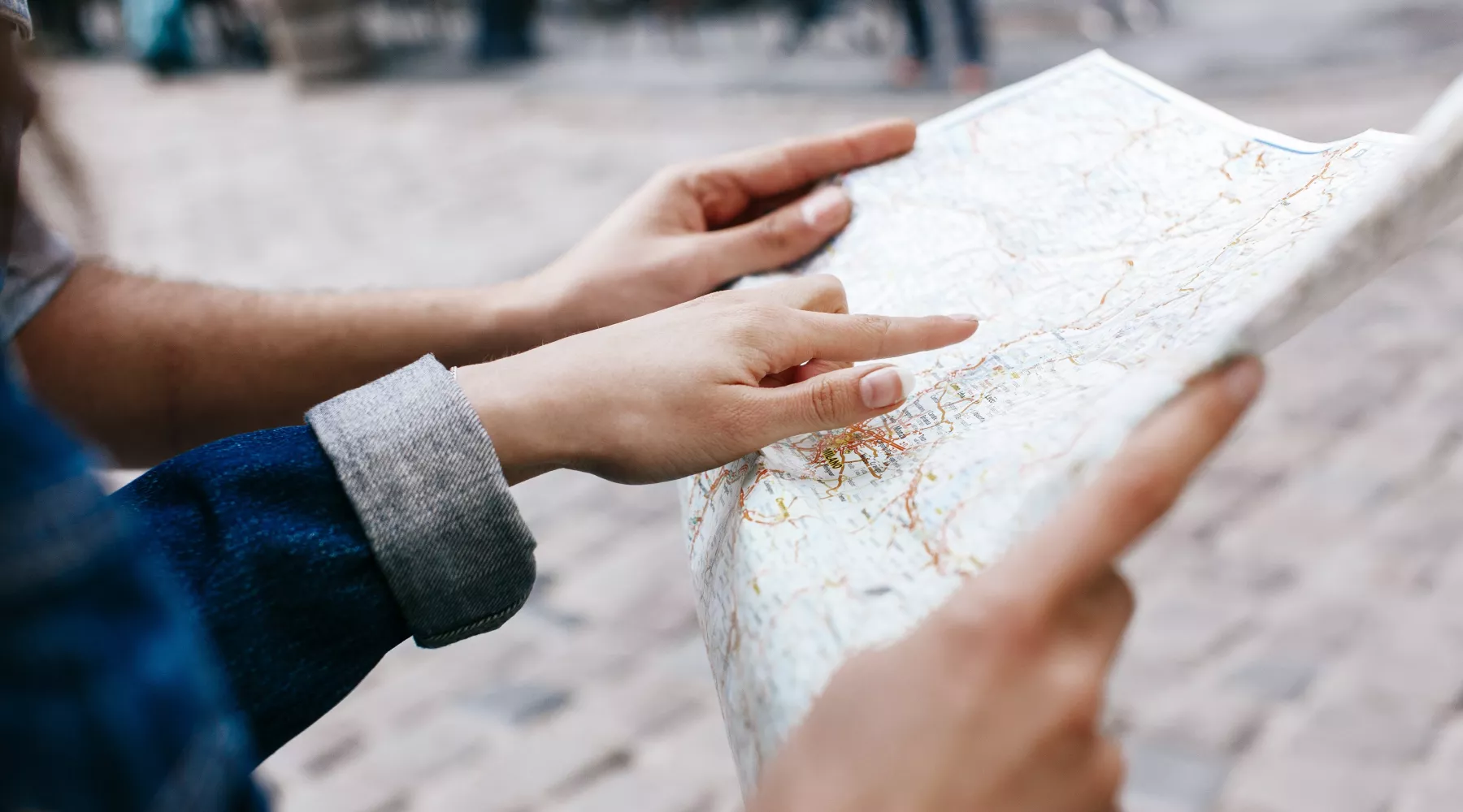 Поиск. Пропал человек. ЛизаАлерт. СпасАлтай