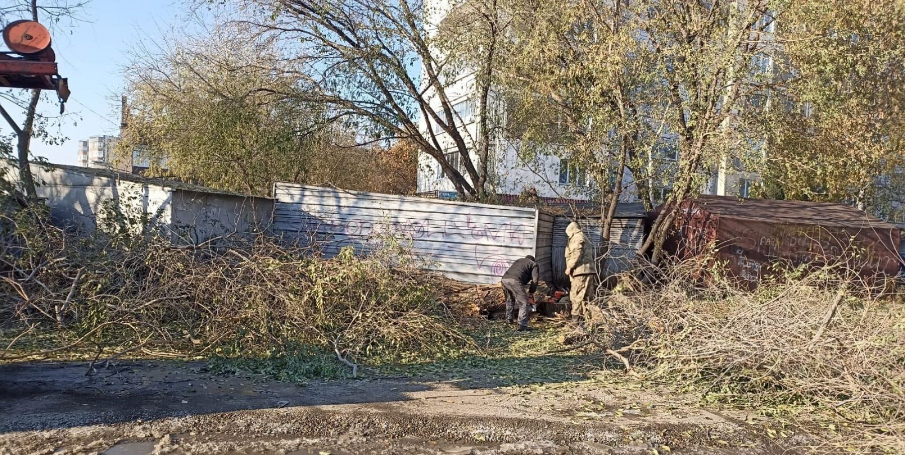Коммунальные службы готовят парки и скверы Бийска к зиме