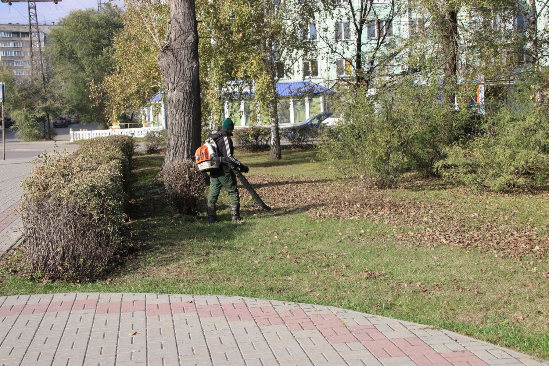 Коммунальные службы готовят парки и скверы Бийска к зиме