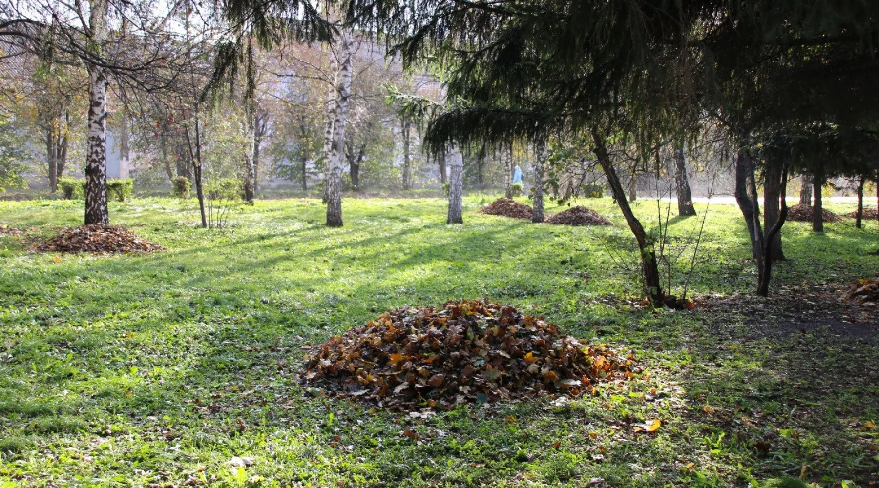 Коммунальные службы готовят парки и скверы Бийска к зиме