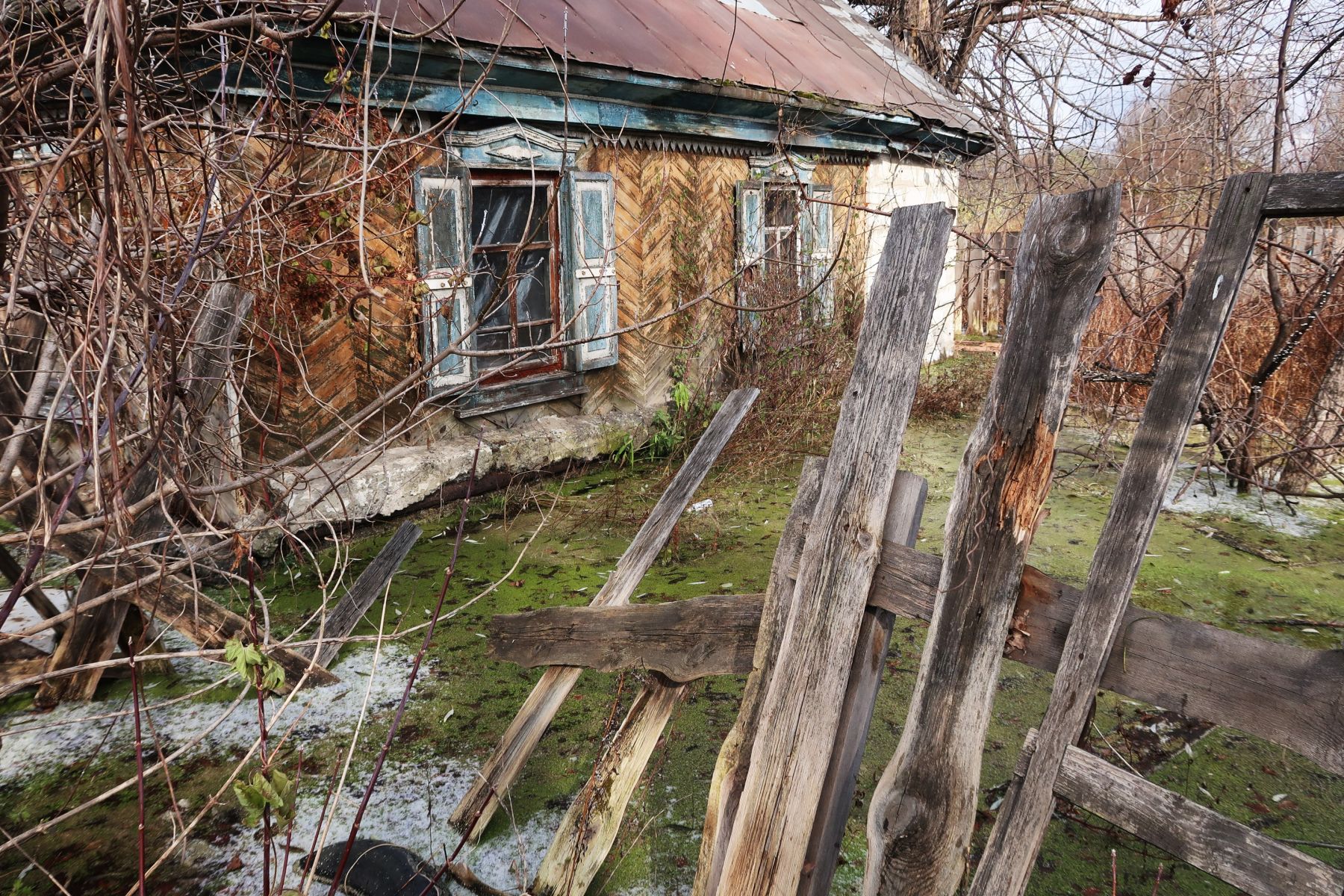 Дома на ул. Цесовская