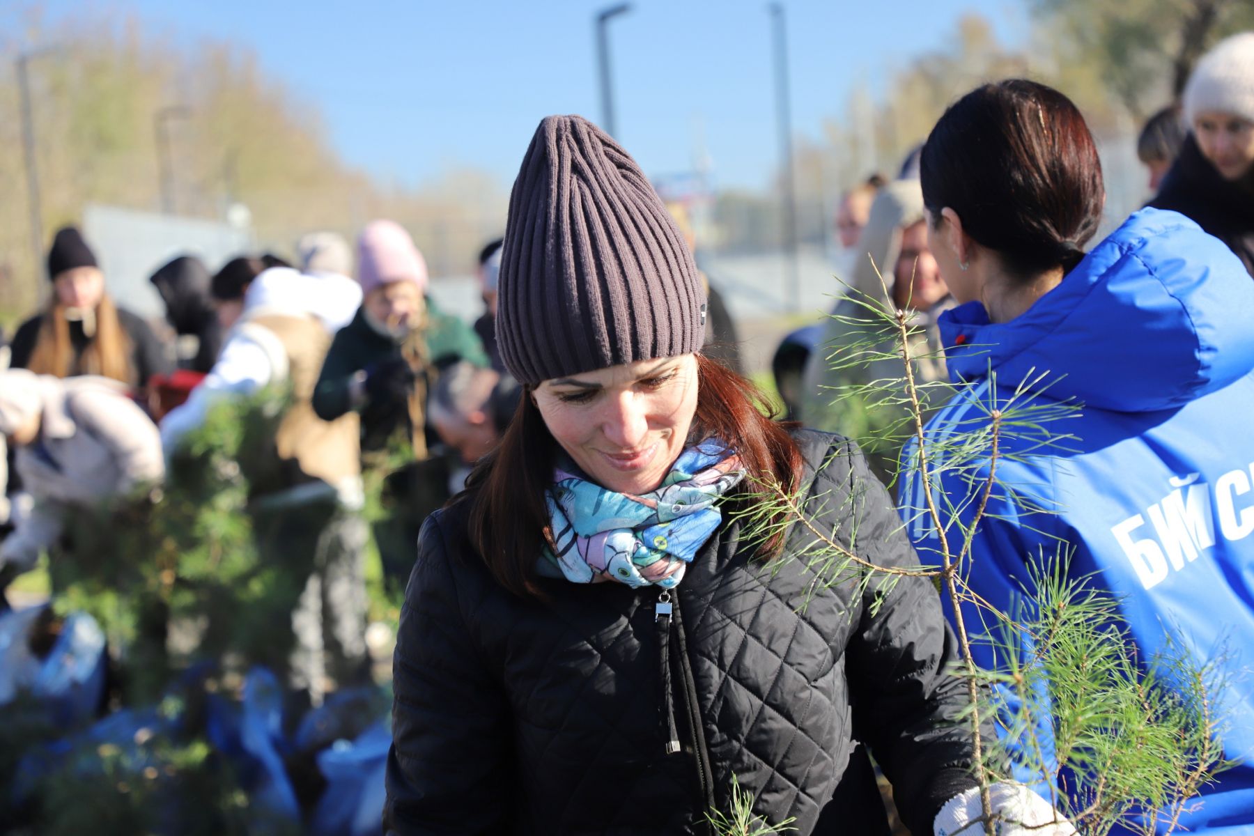 Озеленение территории у скейт-парка.