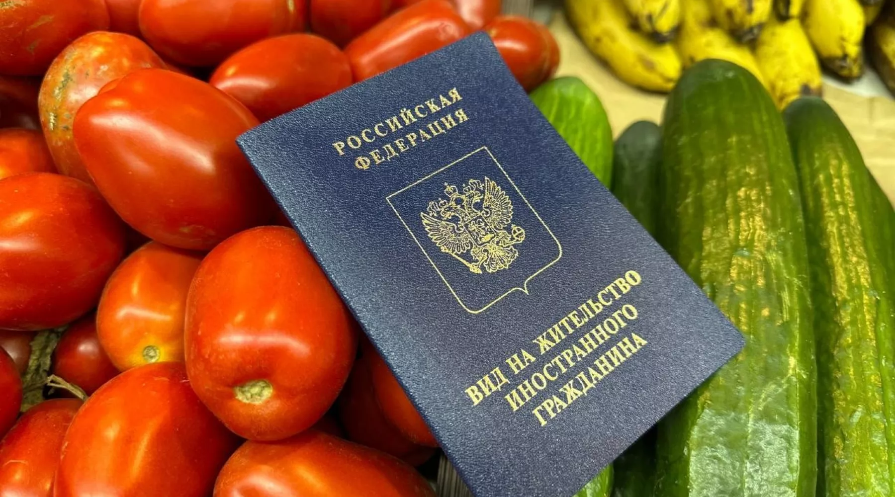 Иностранец. Нелегал 