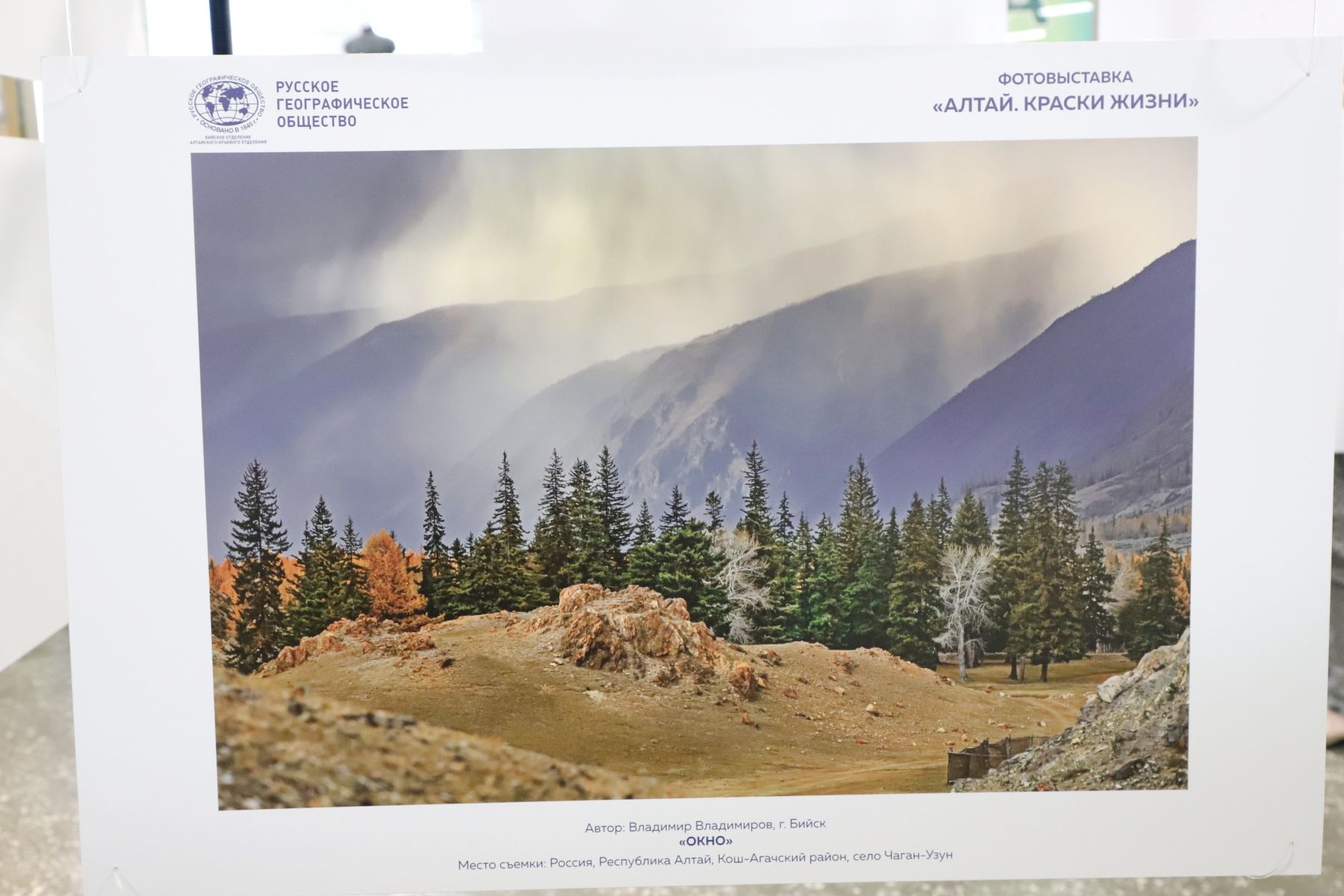 Выставка "Алтай. Краски жизни".
