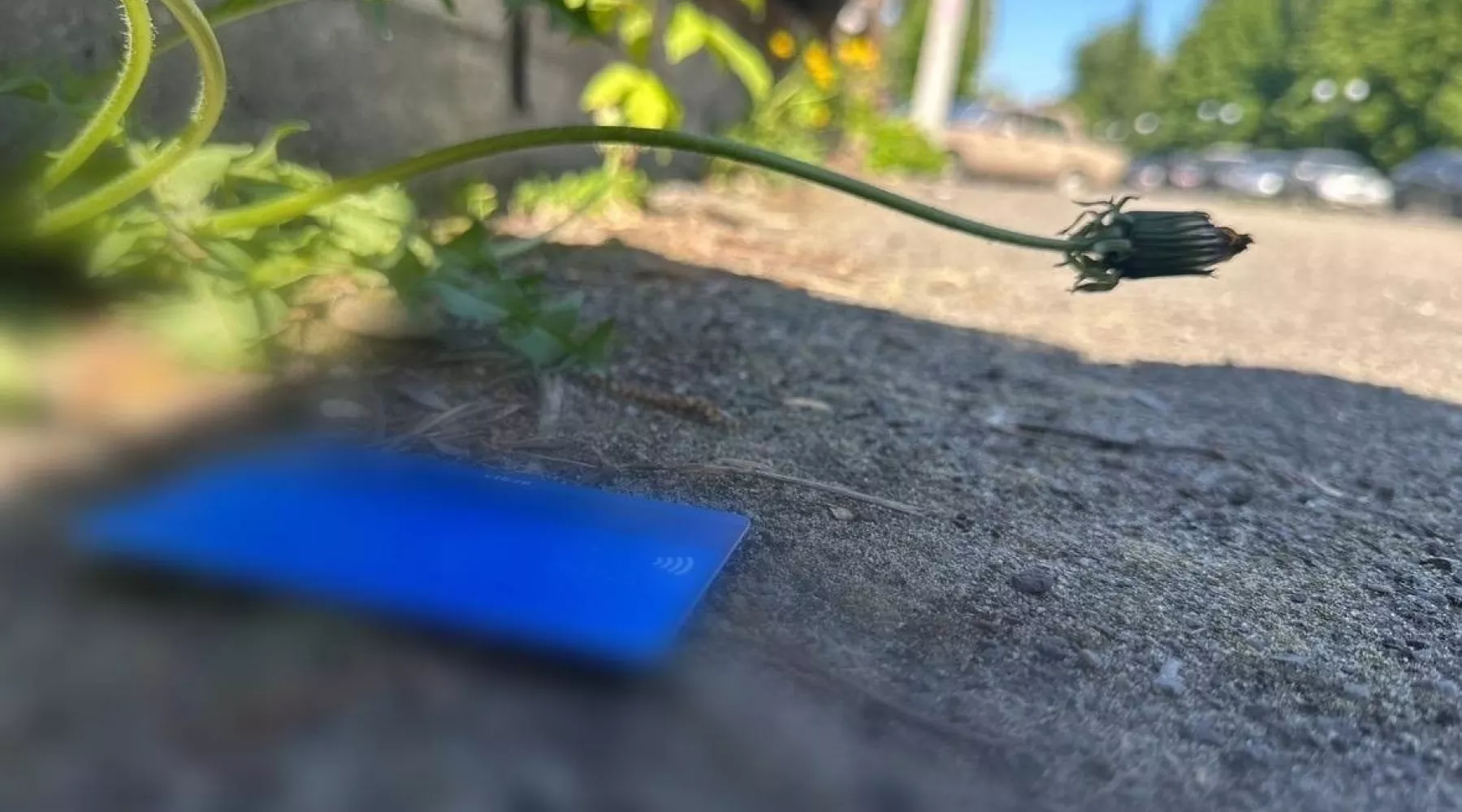 Банковская карта. Кража. Кража банковской карты