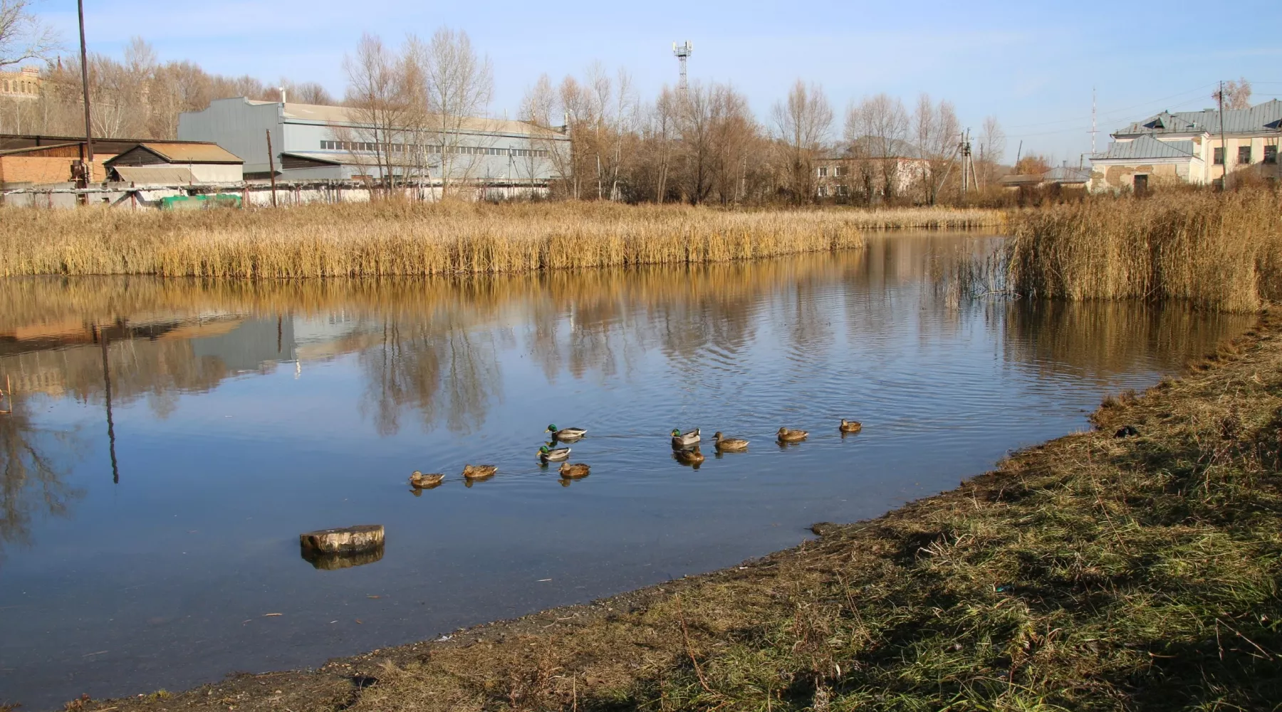 Ковалевское озеро