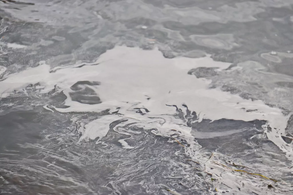 Как будто разлили бетон: что за пятно неизвестной жижи образовалось на Бии - Информационный портал "Бийский рабочий", 11.11.2025