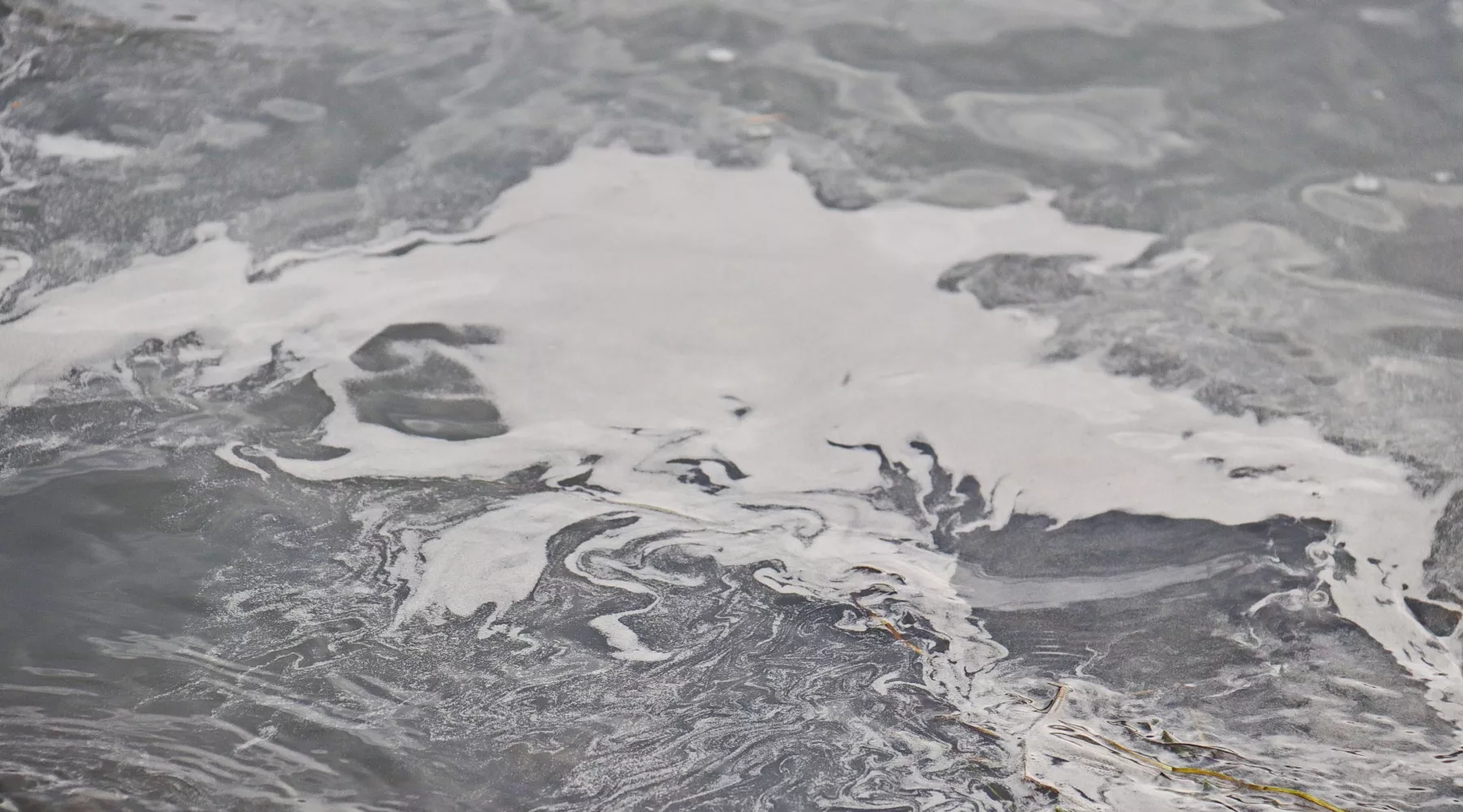 На поверхности реки в районе поселка Сорокино образовалось огромное серое пятно