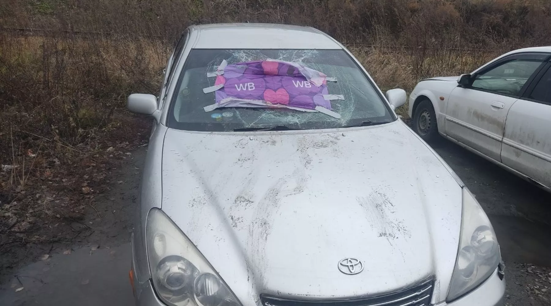 В Бийске неизвестные разбили сразу несколько автомобилей