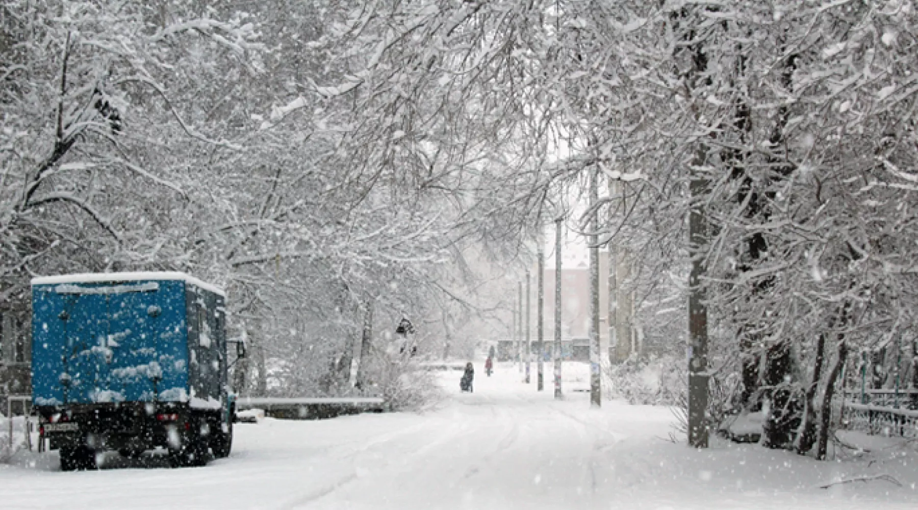 Ноябрь в Алтайском крае ожидается теплее обычного 
