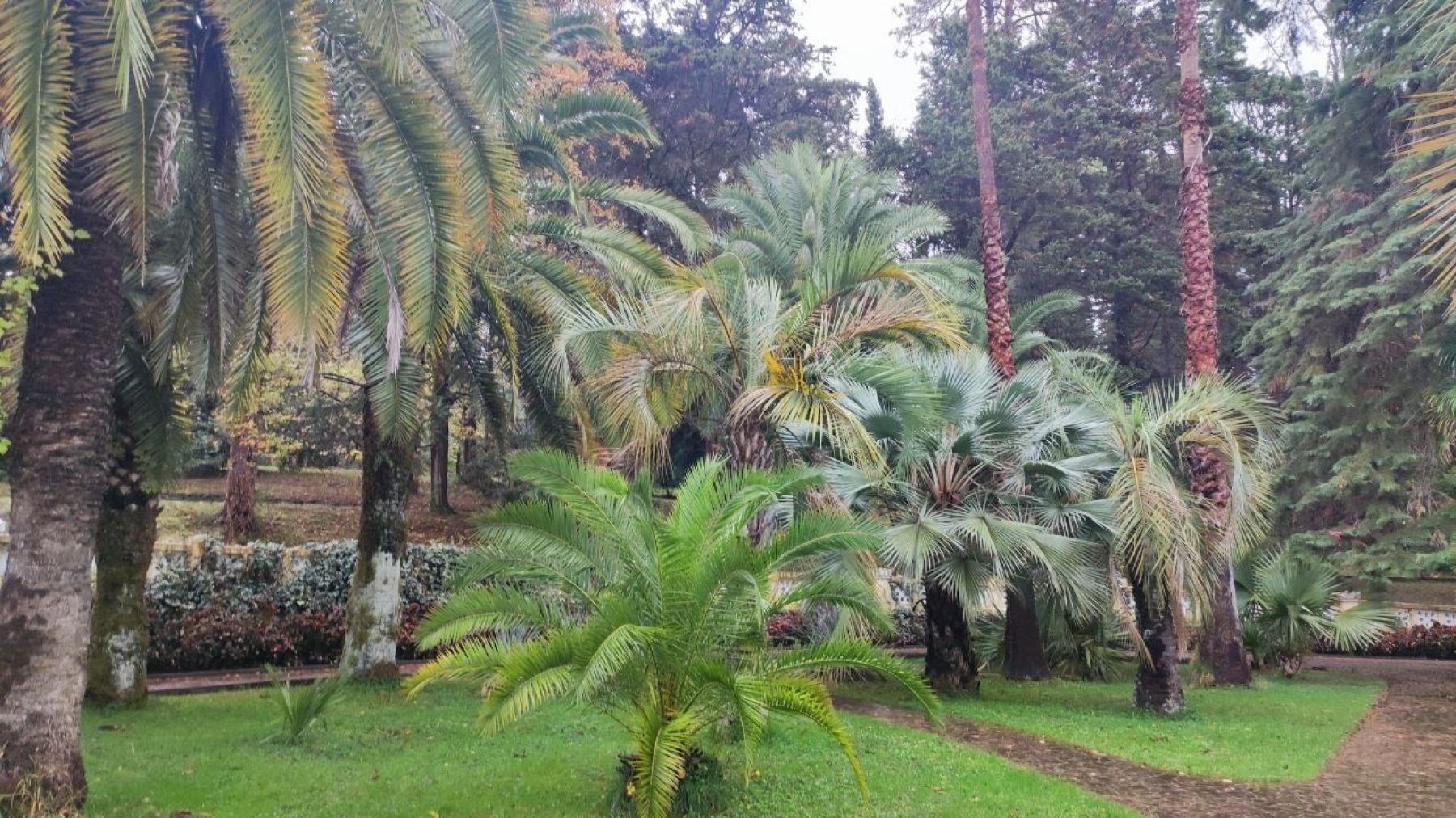 Забронируйте тур 2026 заранее — и участвуйте в большом розыгрыше!