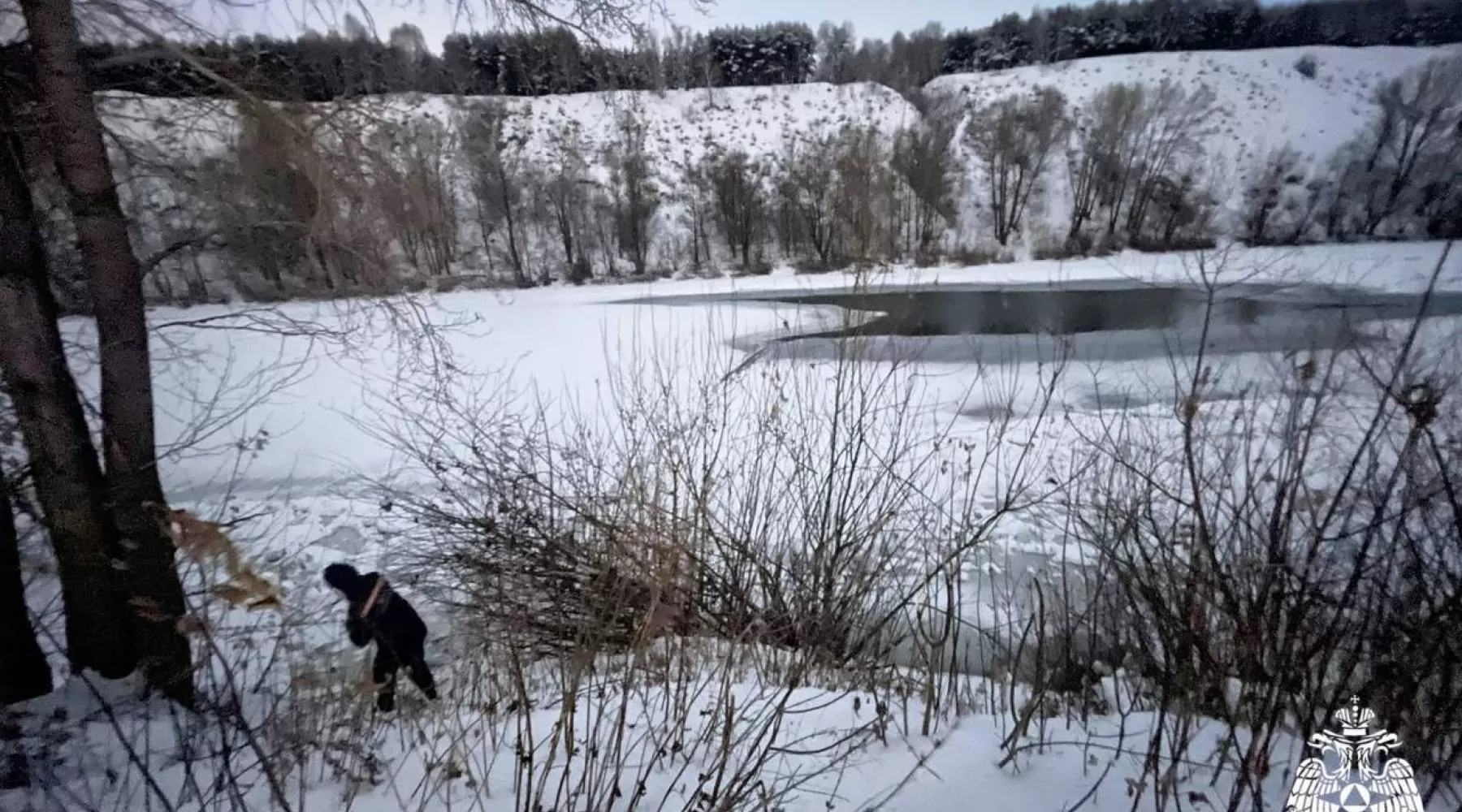 Двое детей провалились под лед на реке в Новосибирске
