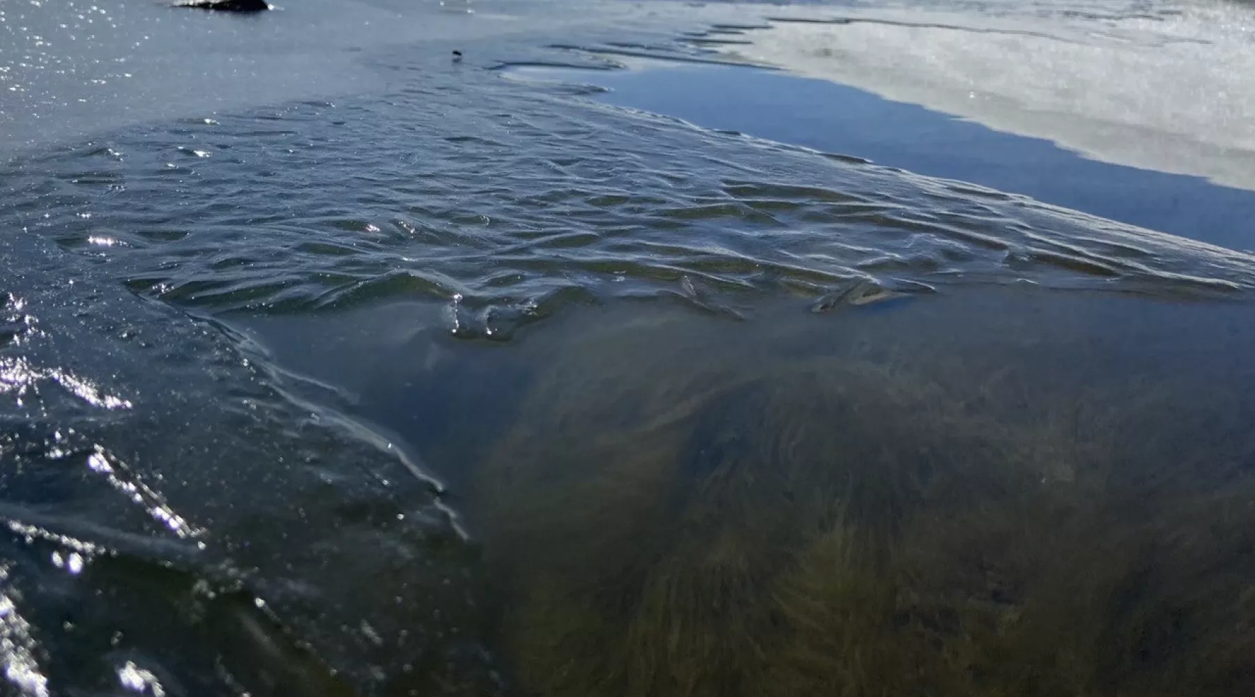 Девятилетний ребенок провалился под лед на реке в Смоленском районе