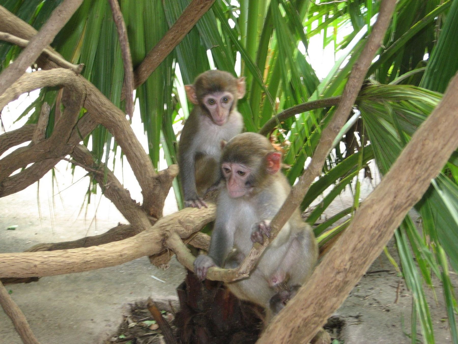 Приглашаем на главное событие в городе: «Большой вечер путешествий»