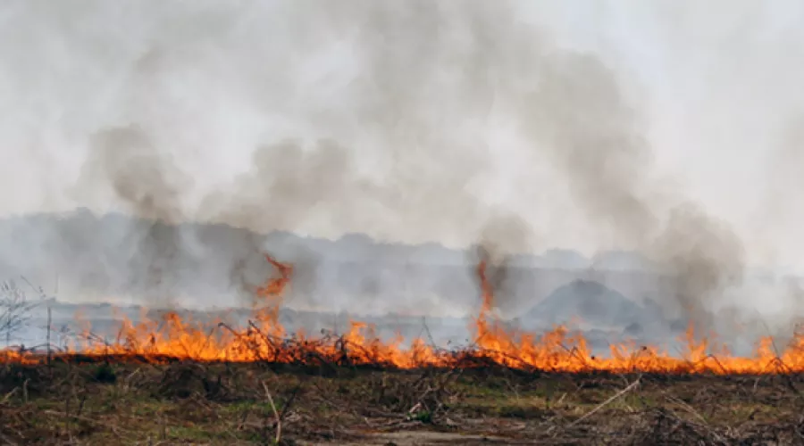 Все природные пожары, бушевавшие накануне в Алтайском крае, удалось потушить 