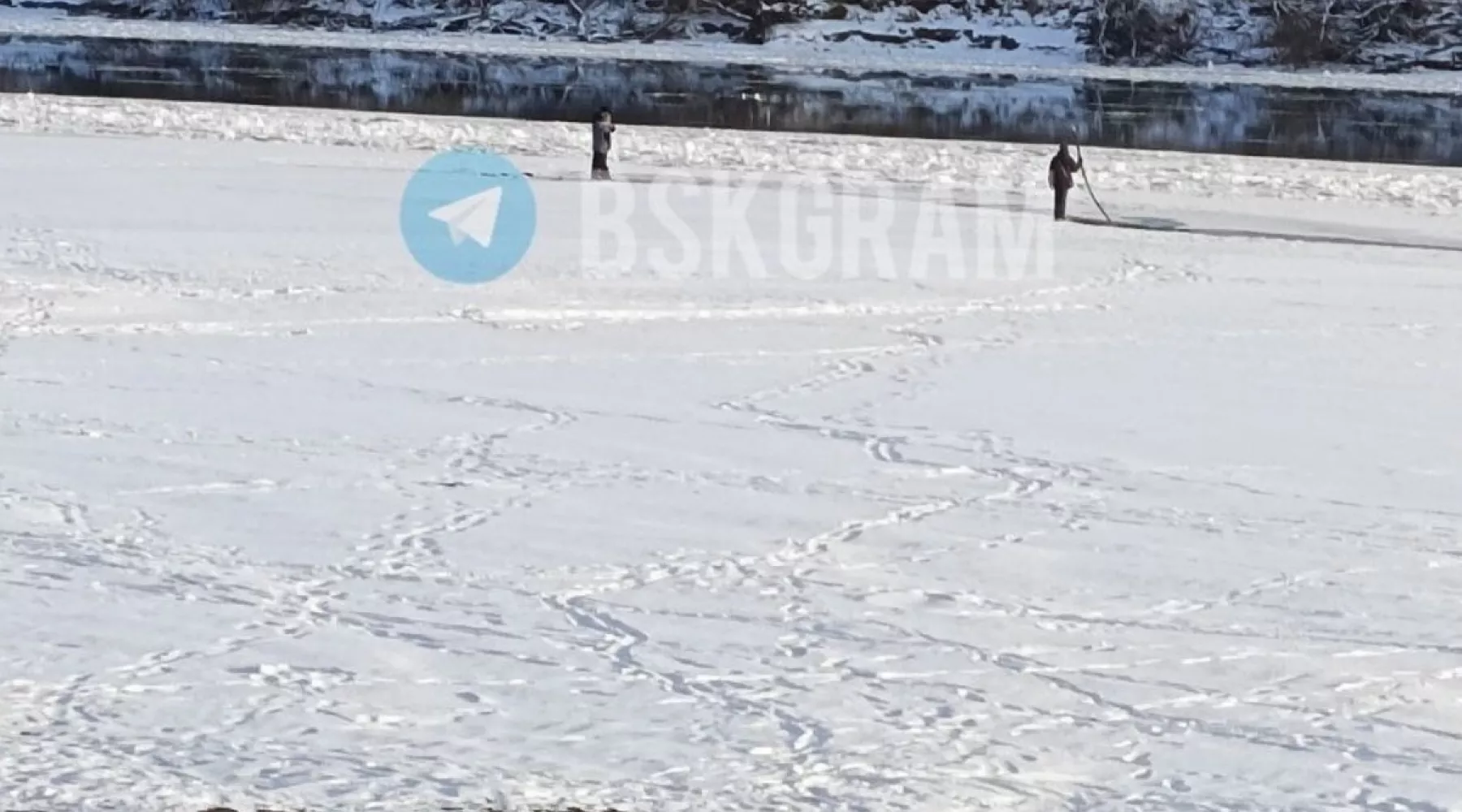 Кругом полыньи: в Бийске заметили детей, гуляющих по льду
