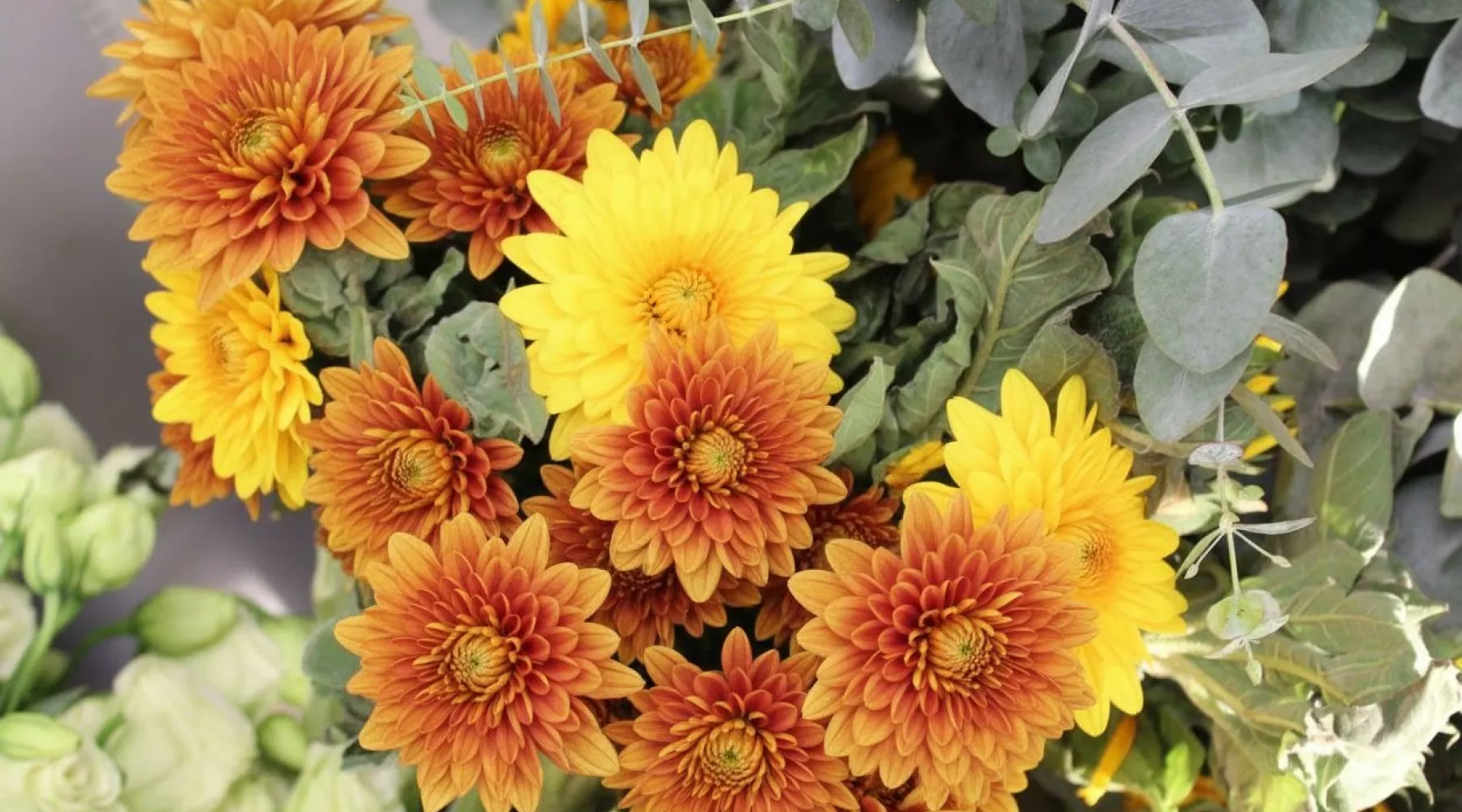 В Алтайском крае специалисты выявили более 16 тысяч импортных зараженных цветов