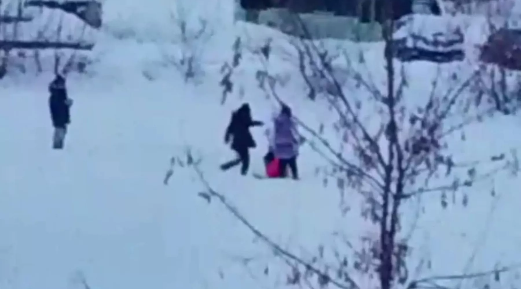  Скриншот с камеры видеонаблюдения